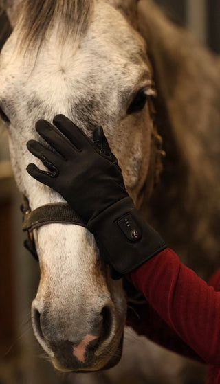 Elektrisch verwarmde rijhandschoenen