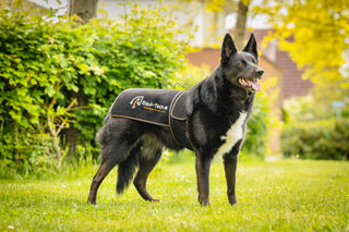 Red Pro honden pad