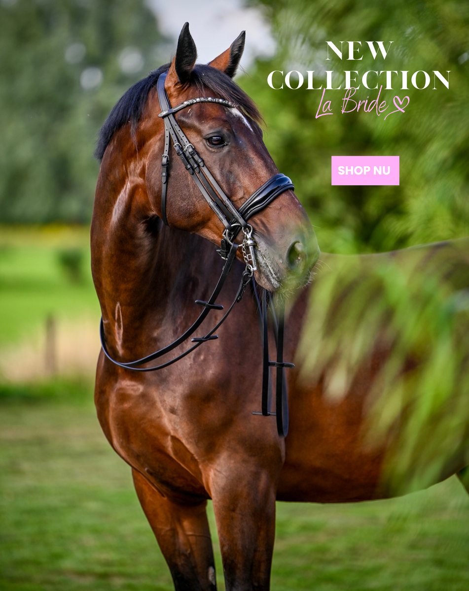 Equi-Tech